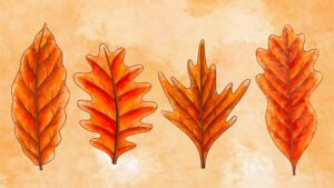 atelier loisirs creatif mobile feuilles automne